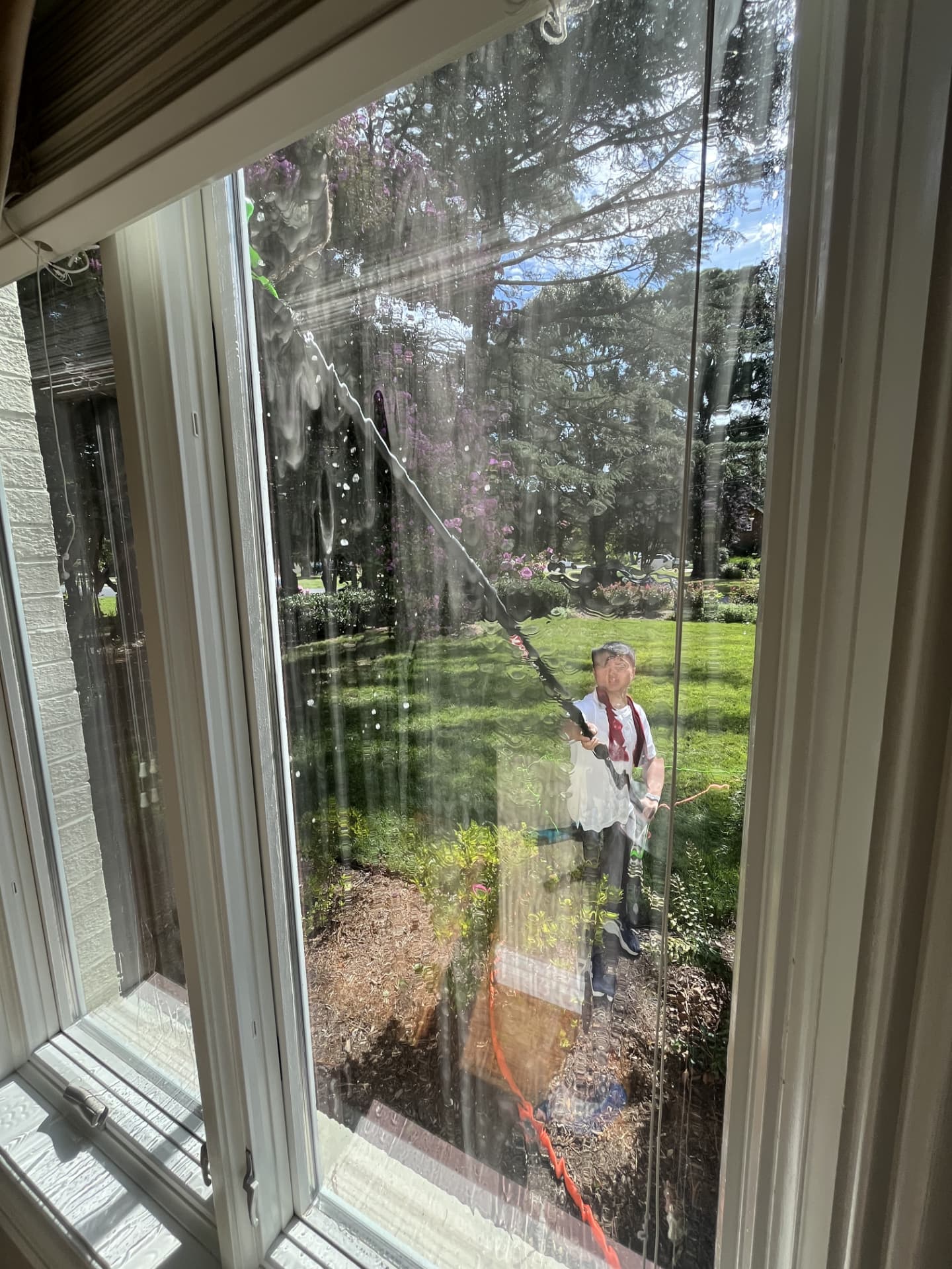 Blooms technician rinsing a window with a water-fed pole, seen from inside
