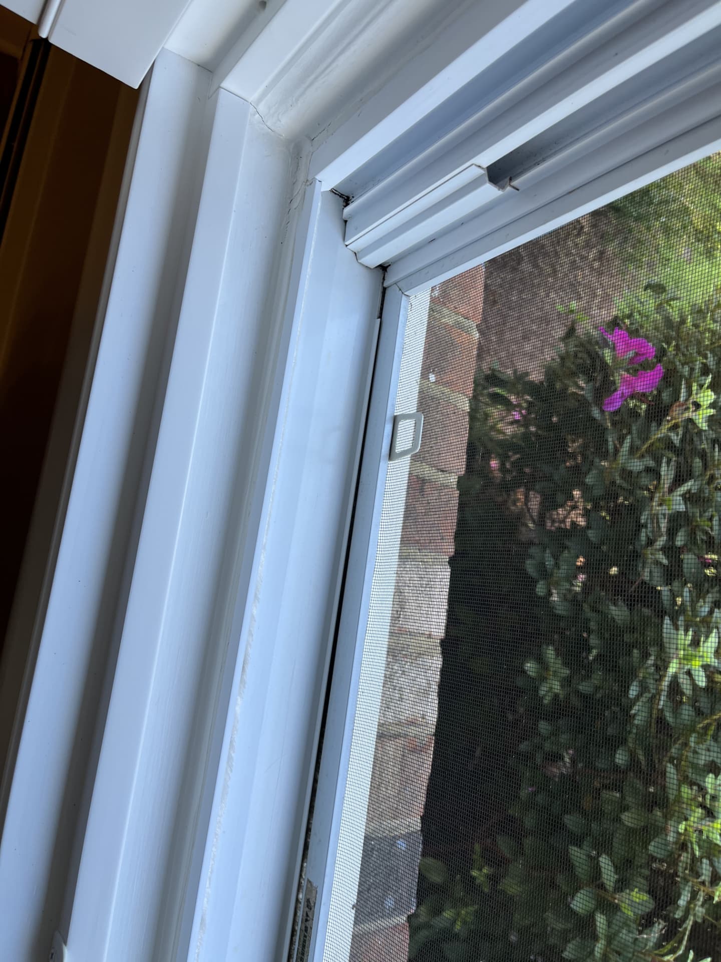Clean white window track and sill after detailing
